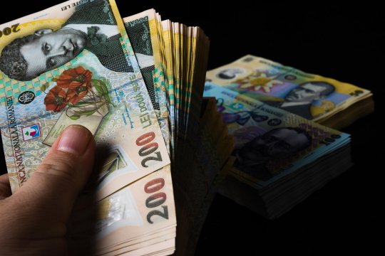 Cine sunt românii care vor primi bani până la finalul anului. APIA a început plata finală a subvențiilor pe 2025