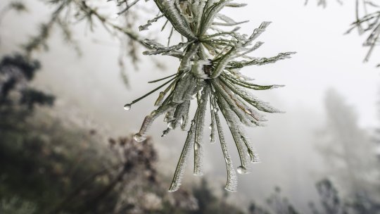 Frigul extrem a cuprins toată țara. În ce oraș s-au înregistrat până la -21 grade Celsius