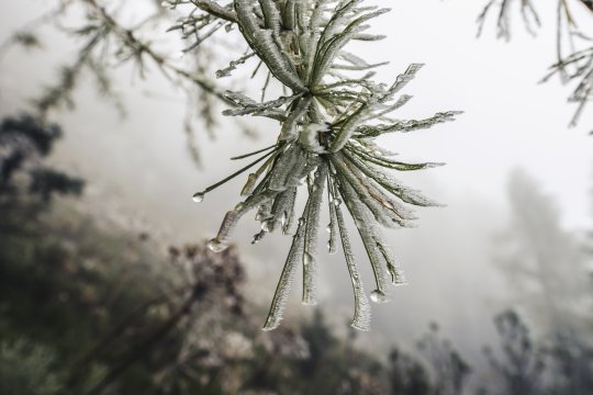 Frigul extrem a cuprins toată țara. În ce oraș s-au înregistrat până la -21 grade Celsius