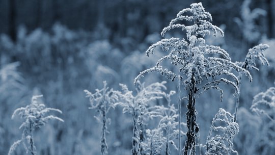 Alertă meteo. Vortexul polar a mai fost prelungit o zi. ANM a emis cod galben de ger