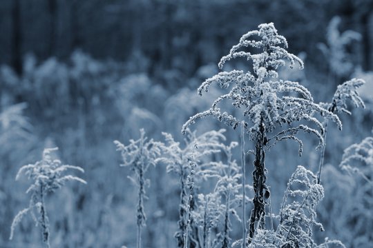 Alertă meteo. Vortexul polar a mai fost prelungit o zi. ANM a emis cod galben de ger