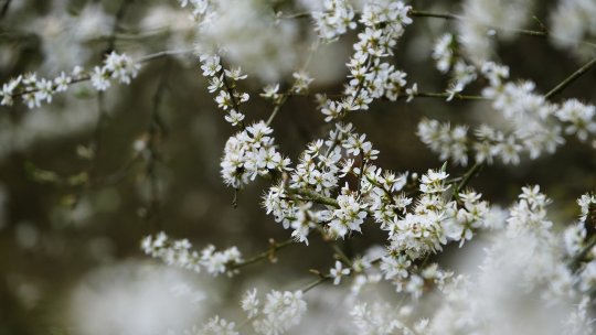 Anunțul de ultimă oră de la meteorologi. Vremea se schimbă radical în următoarele zile