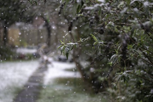 Ninsori la început de aprilie în mai multe județe. Când se încălzește vremea