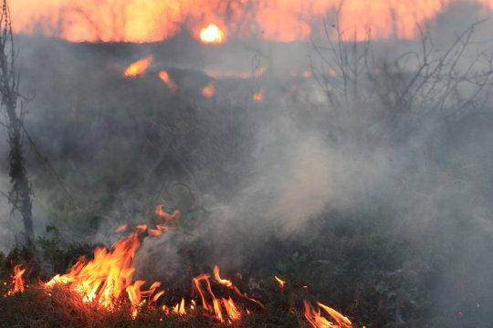 S-a emis Ro Alert! Incendiu puternic la un depozit din Sectorul 6