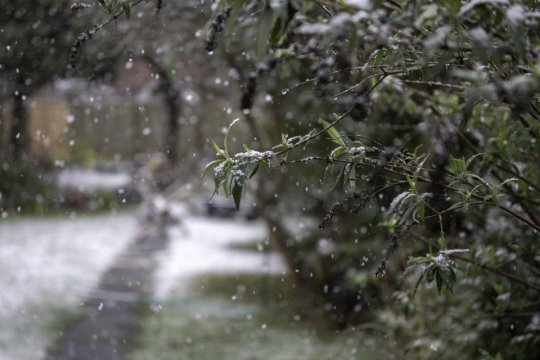 Meteorologii Accuweather au estimat când ar putea fi prima ninsoare în România. Anunțul surprinzător legat de vreme