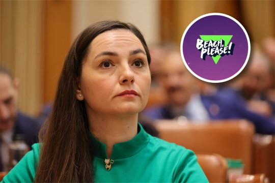 Anamaria Gavrilă, comparație între incidentul de la Beach, Please, cazul Călin Georgescu și Stegarul Dac