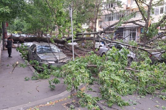 Dezastru în Capitală! O furtună puternică a măturat străzile din București și a cauzat pagube materiale uriașe