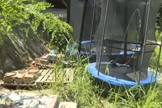 Orori descoperite la o fermă. Doi frați de șase și nouă ani, găsiți în scutece și într-o mizerie de nedescris în Italia