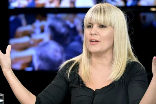 ANAF bate gongul la Călăraşi! Peste 40 de hectare din averea Elenei Udrea, scoase la licitaţie parcelă cu parcelă