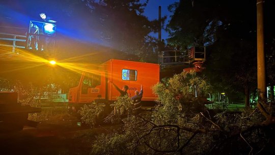 Haos în Capitală după furtună. Mașini distruse și drumuri blocate de arbori căzuți