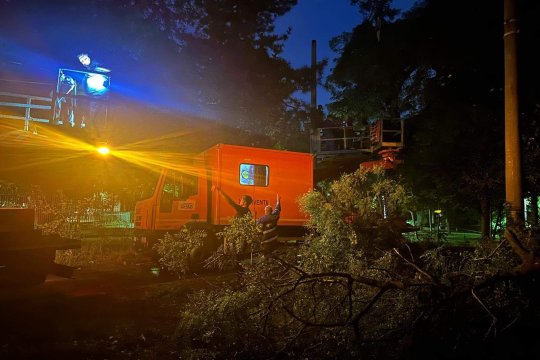Haos în Capitală după furtună. Mașini distruse și drumuri blocate de arbori căzuți