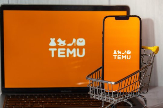 Ce răspuns a dat Temu în privința taxei de 25 de lei impusă de statul român. Cum vor ajunge coletele în România