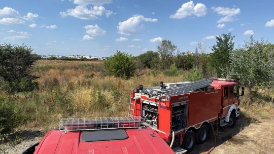 Incendiu puternic lângă Delta Văcărești. Un bărbat de 46 de ani a ajuns la spital
