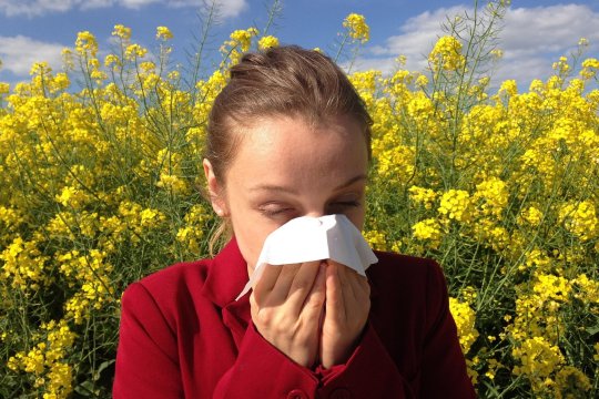 Alergia la ambrozie și cele mai ciudate simptome. Nimeni nu ți le spune