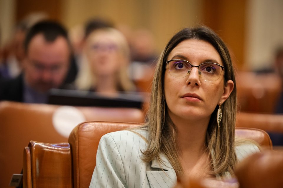 Diana Buzoianu, Ministrul Mediului