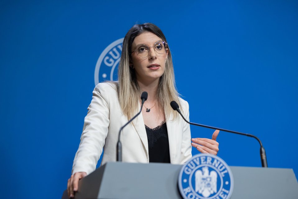 Diana Buzoianu, Ministrul Mediului