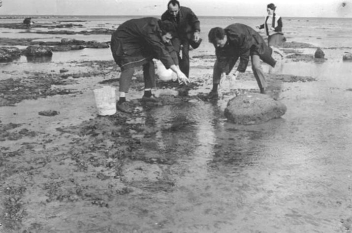 Cercetători la Stațiunea de la Agigea