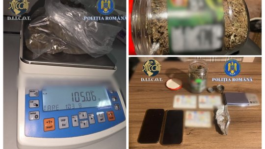 Doi tineri, reținuți de DIICOT în Cenei. Unul este suspect că a furnizat cannabis adolescenților implicați în uciderea lui Mario Berinde
