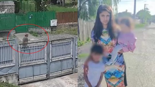 Închisoare pe viață pentru crima din Lipănești. Judecătorii au stabilit și daune morale de 620.000 de euro