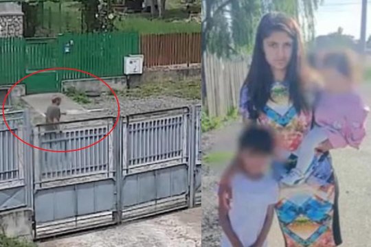 Închisoare pe viață pentru crima din Lipănești. Judecătorii au stabilit și daune morale de 620.000 de euro