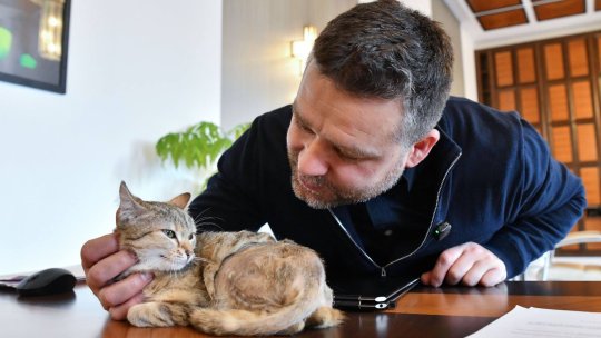 Pisicuța Cathy s-a instalat în biroul primarului Capitalei. Ciprian Ciucu: ”A fost «chimie» între noi la prima vedere”