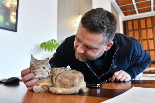 Pisicuța Cathy s-a instalat în biroul primarului Capitalei. Ciprian Ciucu: ”A fost «chimie» între noi la prima vedere”