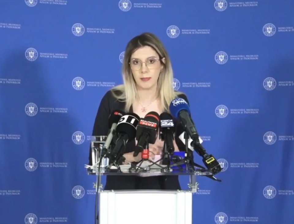 Diana Buzoianu, ministrul Mediului, Apelor și Pădurilor
