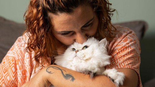 Vestea momentului pentru proprietarii de animale care locuiesc la bloc. Câți bani ar putea plăti în plus în 2026