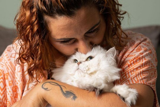 Vestea momentului pentru proprietarii de animale care locuiesc la bloc. Câți bani ar putea plăti în plus în 2026