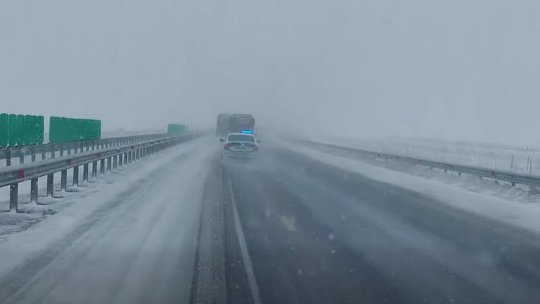 Viscol puternic în 16 județe și București: copaci doborâți și drumuri închise parțial