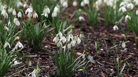Cum va fi vremea în luna martie. ANM anunță schimbări de temperatură în următoarele patru săptămâni