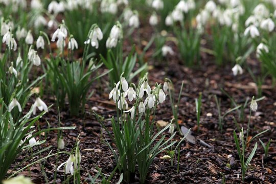 Cum va fi vremea în luna martie. ANM anunță schimbări de temperatură în următoarele patru săptămâni