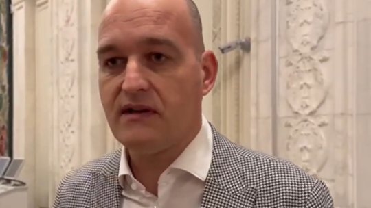 Instanța supremă a decis că poate începe judecata lui Dan Vîlceanu pentru că l-a bătut în Parlament pe deputatul Florin Roman