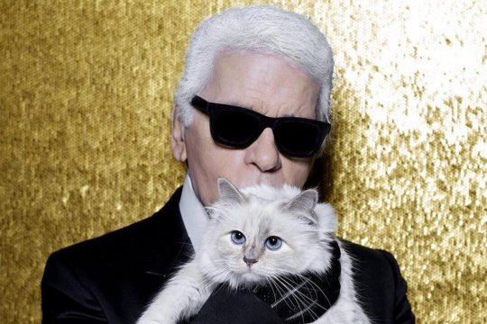 Pisica lui Karl Lagerfeld ar putea pierde tot. Testamentul creatorului de modă a fost contestat