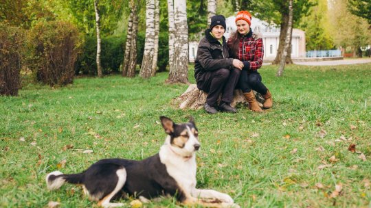 Obligația clară din lege pe care proprietarii de animale nu o respectă. Aplicarea sancțiunilor ridică semne de întrebare