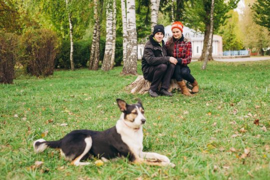 Obligația clară din lege pe care proprietarii de animale nu o respectă. Aplicarea sancțiunilor ridică semne de întrebare