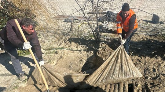Noi instalații îngropate ilegal descoperite pe plajele din Năvodari. Autoritățile extind controalele pe litoral