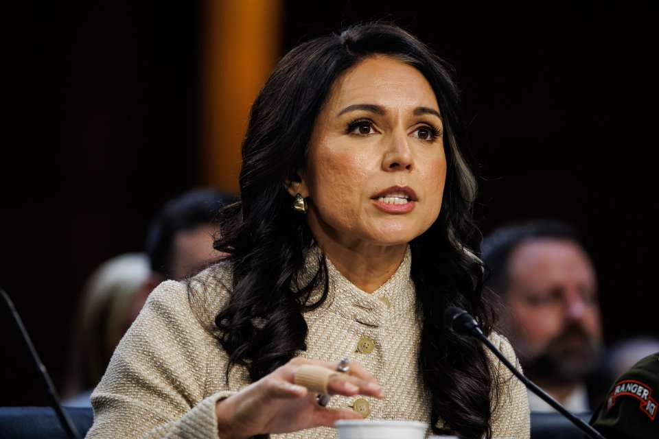 Tulsi Gabbard, directorul Serviciilor Naționale de Informații