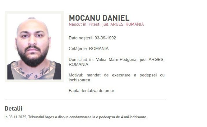 Daniel Mocanu