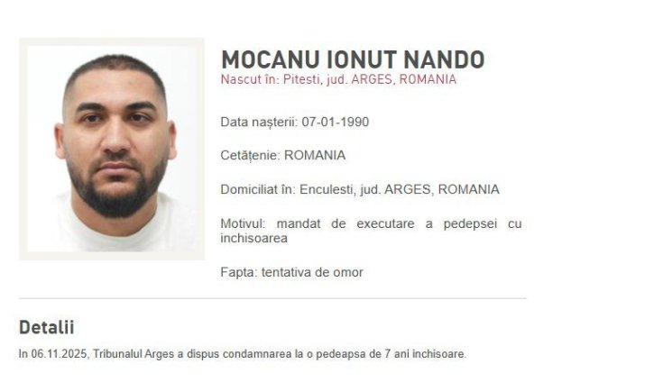 Ionuț Nando Mocanu