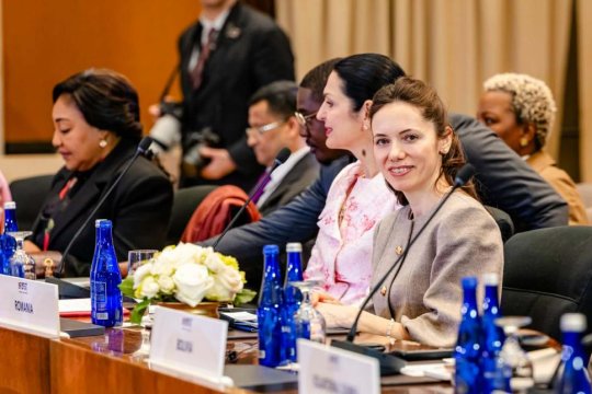 Mesajul transmis de Mirabela Grădinaru la Washington. Educația și tehnologia trebuie integrate eficient