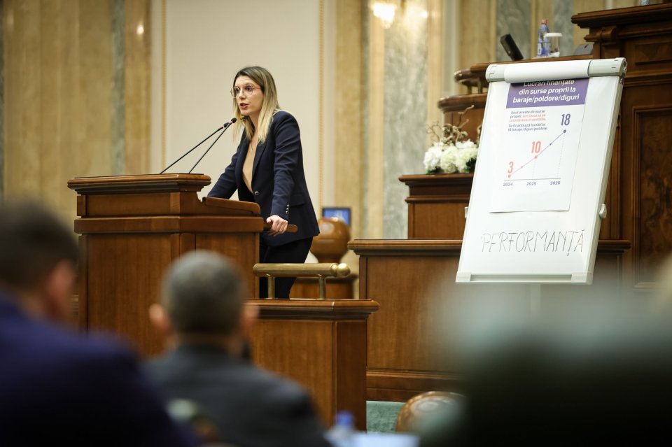 Diana Buzoianu, ministrul Mediului, Apelor și Pădurilor