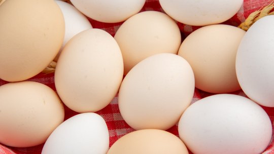 Alertă alimentară înainte de Paște din cauza ouălor contaminate cu Sallmonela. 1,5 milioane de produse au fost oprite de la distribuție