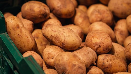 Cartofi gratis pentru localnici! Unde trebuie să mergi și cine poate lua fără bani