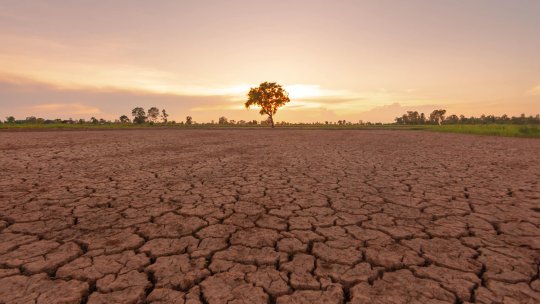 Fenomenul El Niño ar putea reveni din vara lui 2026. Meteorologii avertizează asupra unor temperaturi extreme