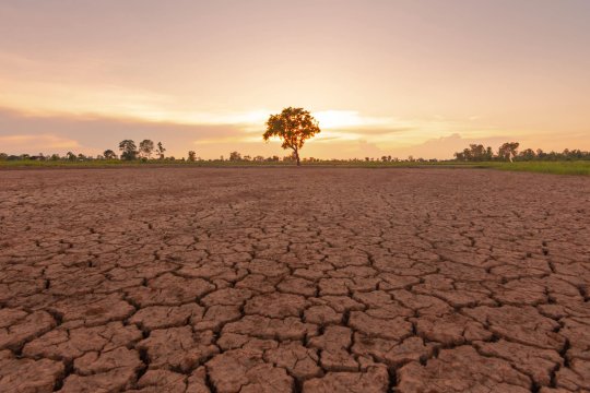 Fenomenul El Niño ar putea reveni din vara lui 2026. Meteorologii avertizează asupra unor temperaturi extreme