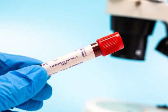 Focarul de hantavirus de pe MV Hondius continuă să se extindă. Un nou pasager a fost confirmat pozitiv în Spania