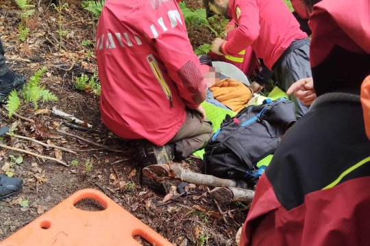 Băiatul de 5 ani dispărut în județul Sibiu a fost găsit în viață. Copilul a fost localizat cu ajutorul unui elicopter cu termoviziune