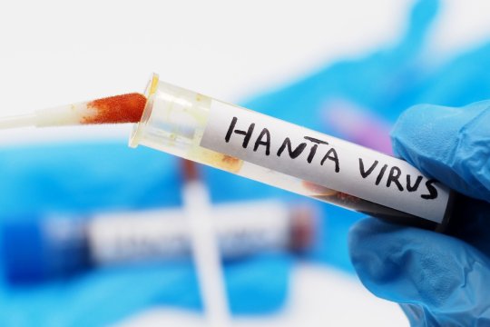 Suspiciune de infecție cu hantavirus la un pacient internat în Arad