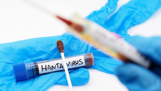 Cazul de hantavirus de la Arad a fost confirmat. Primele măsuri la Spitalul de Psihiatrie din Ștei, unde s-ar fi produs infectarea